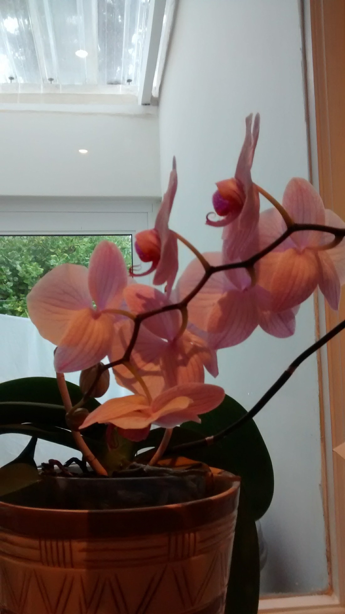 img_20161213_192303334